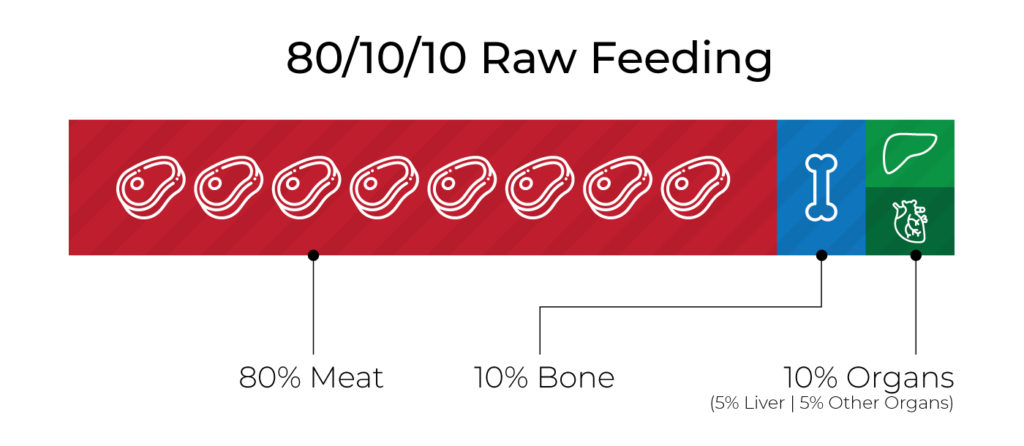 80-10-10-Raw-Feeding-Guide